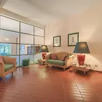 Lo Scirocco Fetovaia