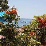 Lo Scirocco Fetovaia
